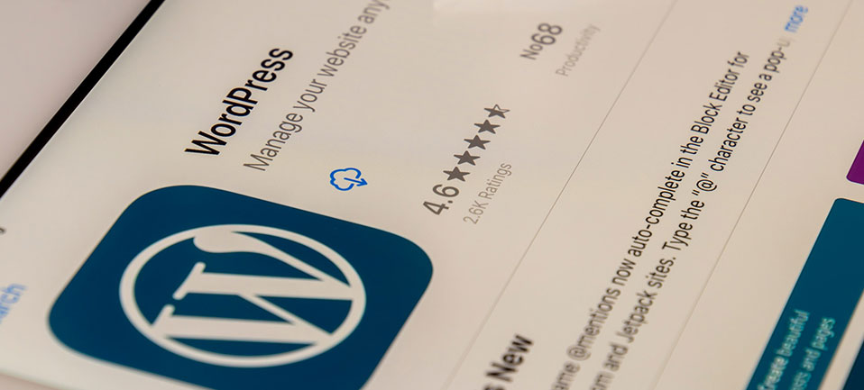 Porque é que o WordPress é o CMS mais popular do mundo?