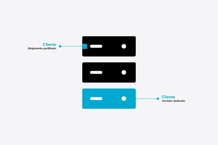 Shared Hosting, Dedicated Server or Cloud Dedicated Server: the best option for your company website